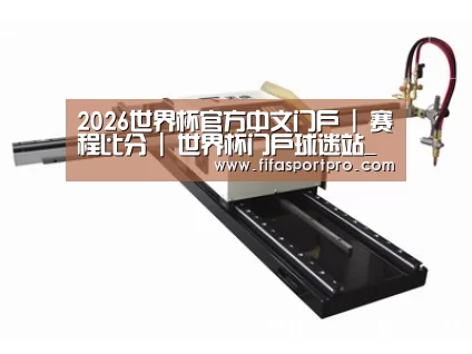 案例展示一