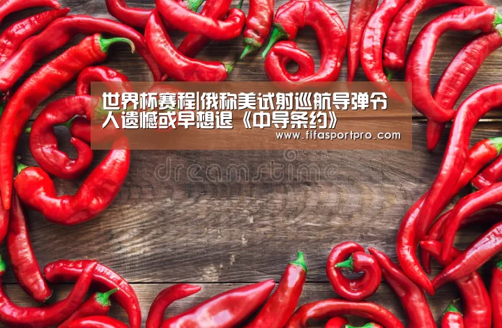 世界杯赛程|俄称美试射巡航导弹令人遗憾或早想退《中导条约》(图2) FIFA世界杯