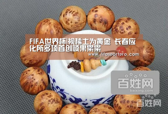 FIFA世界杯|视稀土为黄金 长春应化所多项首创硕果累累(图2) 球队资讯