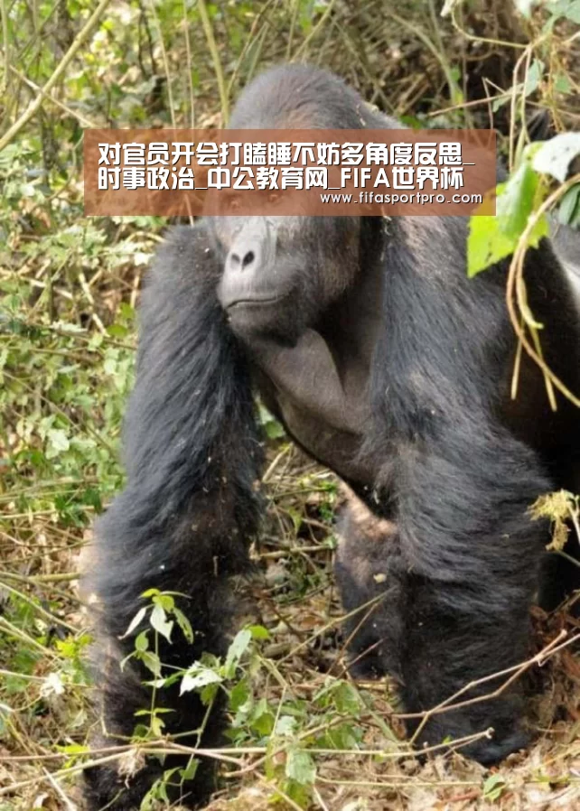 对官员开会打瞌睡不妨多角度反思_时事政治_中公教育网_FIFA世界杯(图1) FIFA世界杯