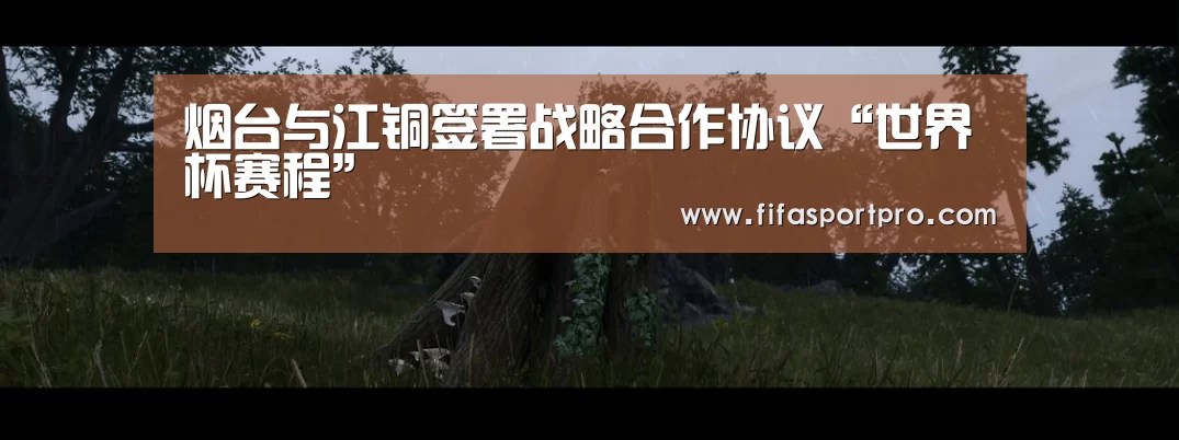 烟台与江铜签署战略合作协议“世界杯赛程”(图1) FIFA世界杯