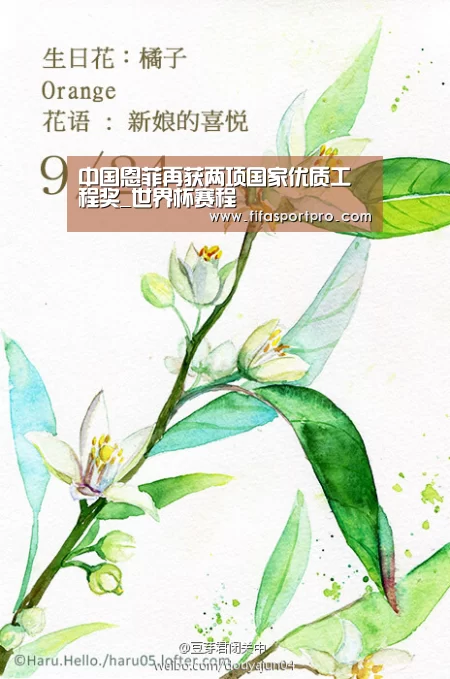 中国恩菲再获两项国家优质工程奖_世界杯赛程(图3) 球队资讯