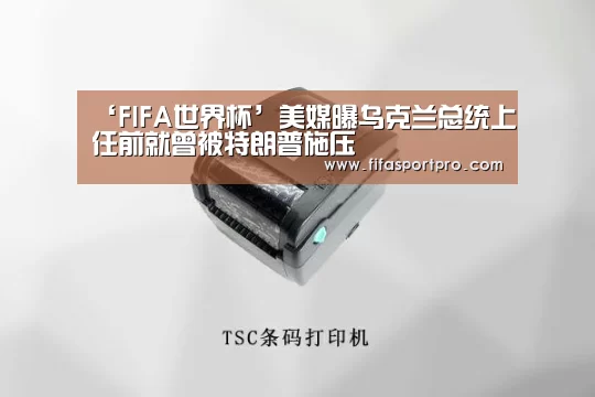 FIFA世界杯