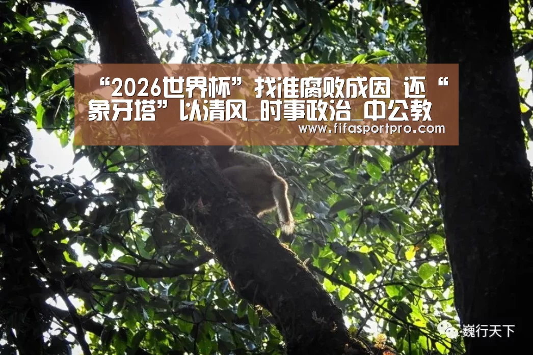 “2026世界杯”找准腐败成因 还“象牙塔”以清风_时事政治_中公教育网(图2) FIFA世界杯