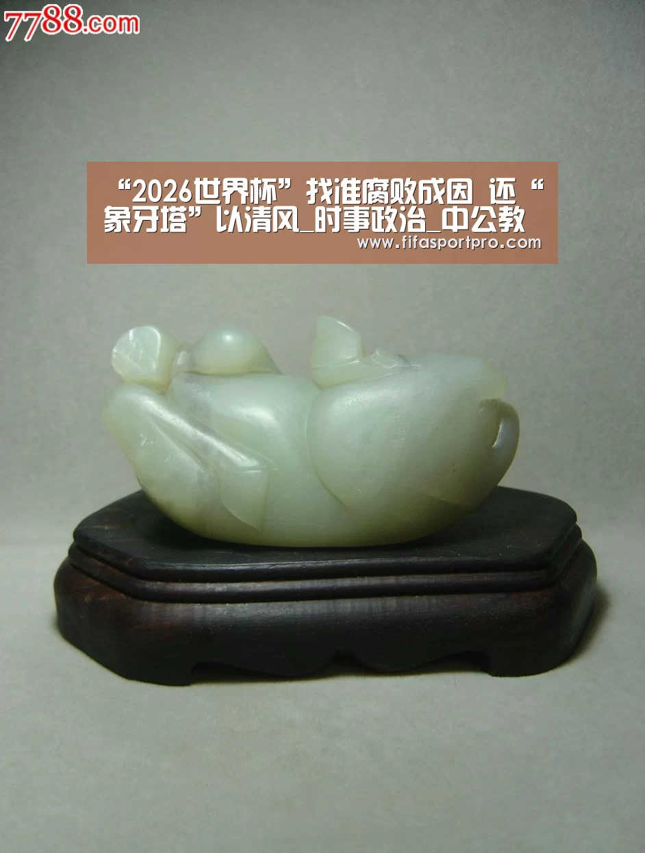“2026世界杯”找准腐败成因 还“象牙塔”以清风_时事政治_中公教育网(图1) 2026世界杯