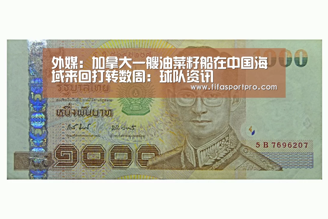 外媒:加拿大一艘油菜籽船在中国海域来回打转数周:球队资讯(图2) 2026世界杯