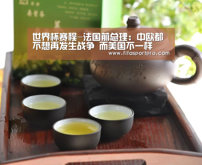 世界杯赛程-法国前总理:中欧都不想再发生战争 而美国不一样(图2) FIFA世界杯