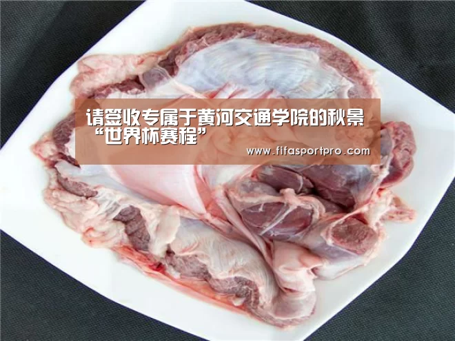 请签收专属于黄河交通学院的秋景“世界杯赛程”(图4) 世界杯赛程